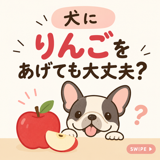 犬にりんご、あげても大丈夫？