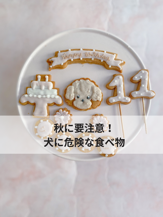 秋に要注意！犬に危険な食べ物