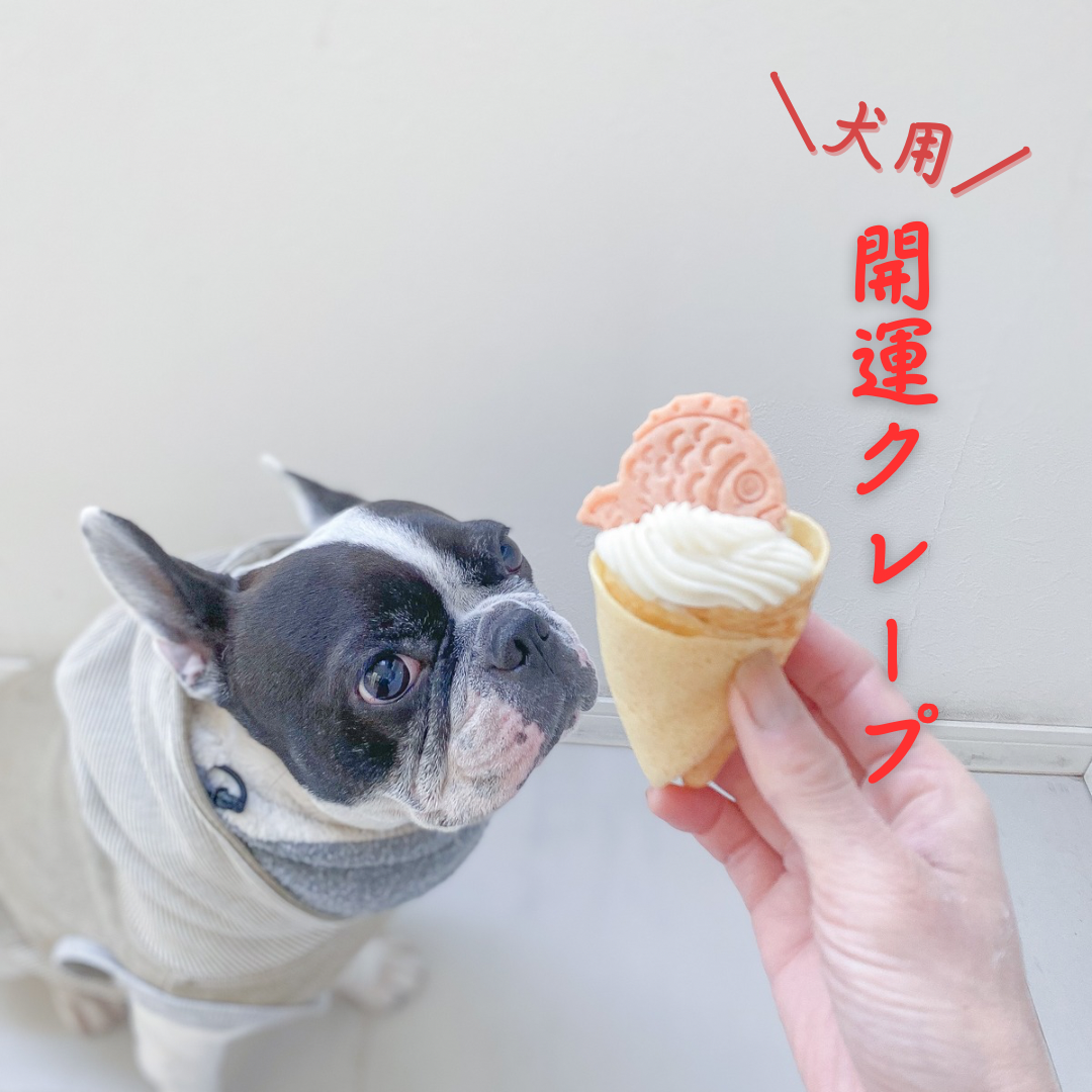 mr.mac ポップアップ、ありがとうございました