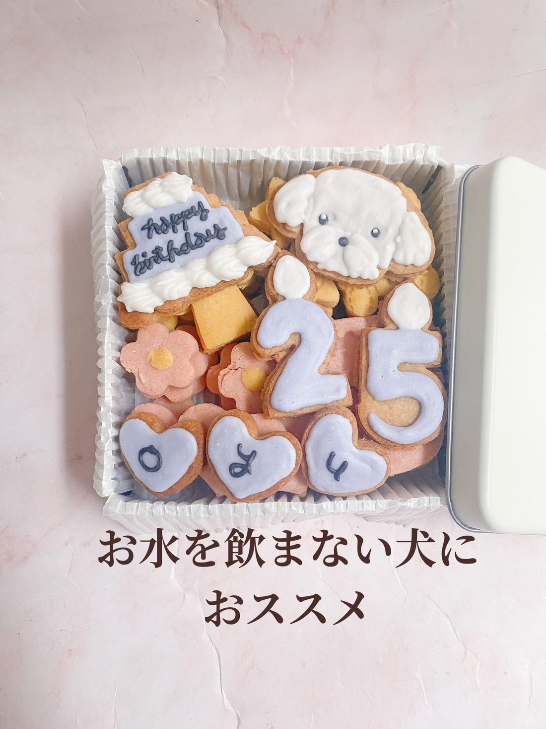 うちの子、お水飲まないんです