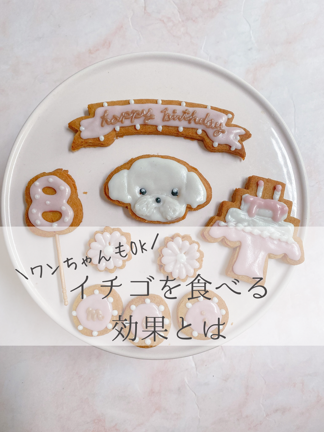 犬がイチゴを食べる効果