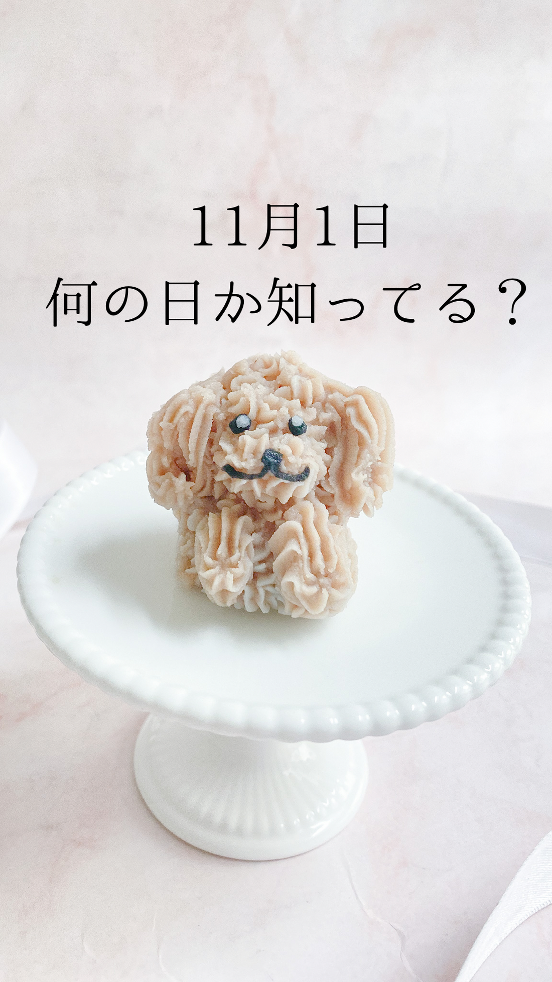 11月1日　何の日か知ってる？