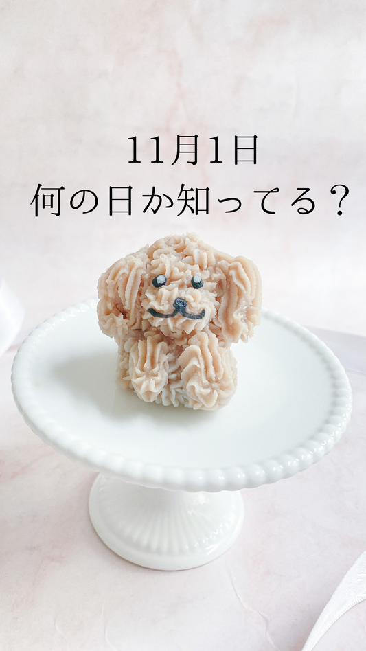 11月1日　何の日か知ってる？