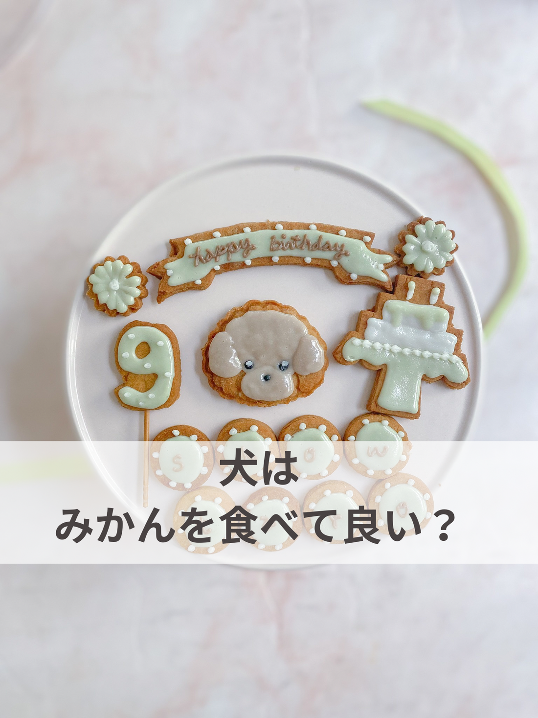 犬はみかんを食べて良い？