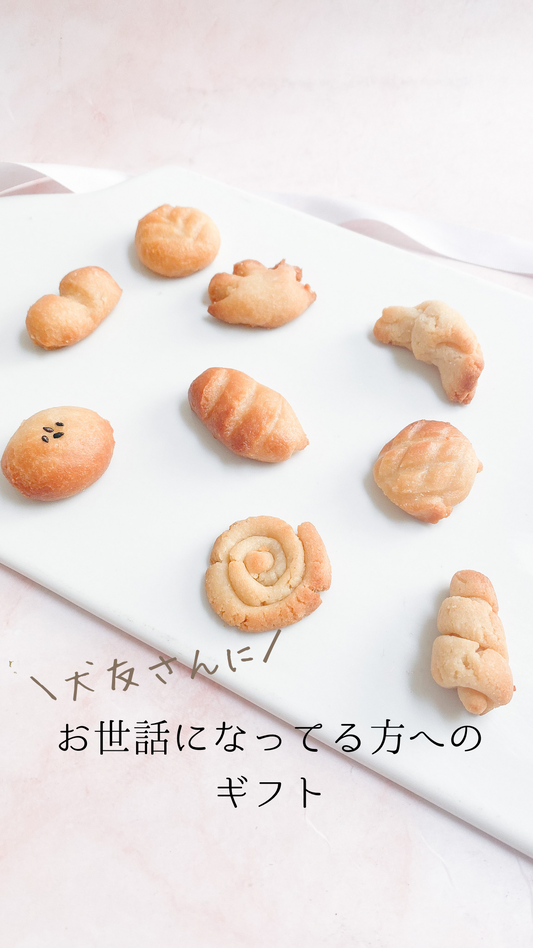 ワンちゃんのお中元に