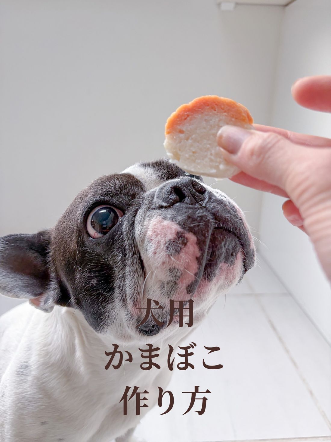 材料2つ　犬用かまぼこの作り方