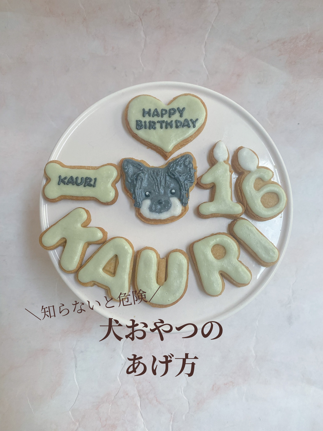 犬おやつ、ちゃんとあげられてる？