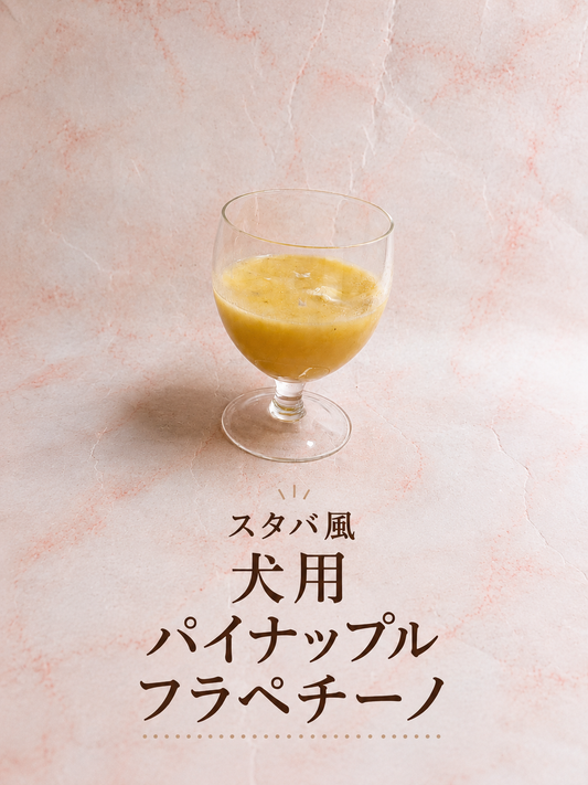 犬用パイナップルフラペチーノの作り方
