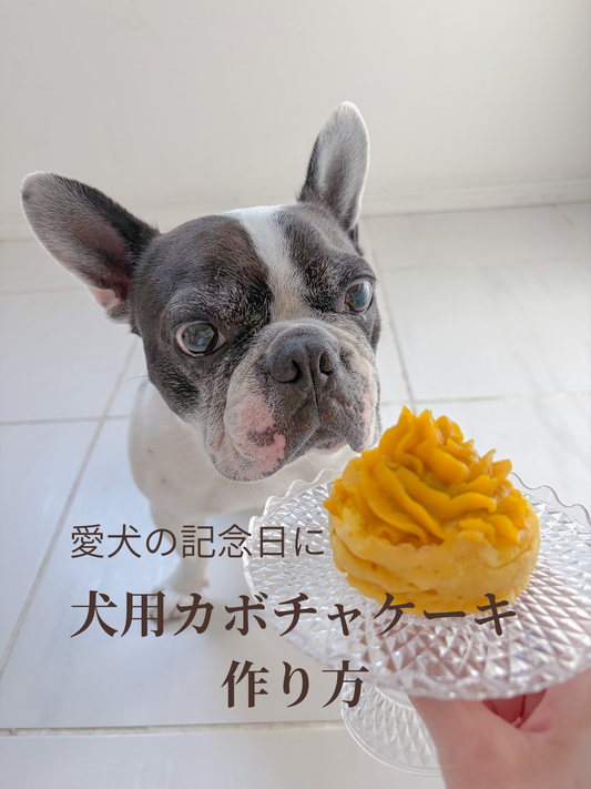 犬用カボチャケーキ作り方