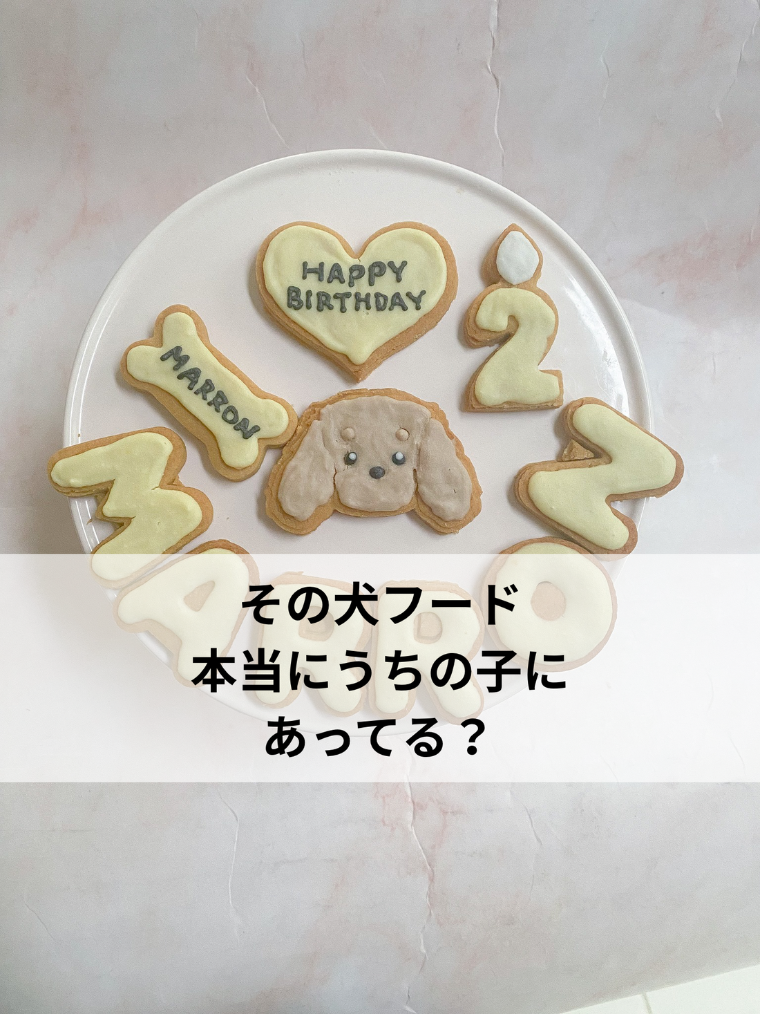 そのフード、うちの子に合ってる？