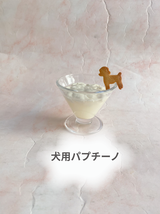 犬用パプチーノ