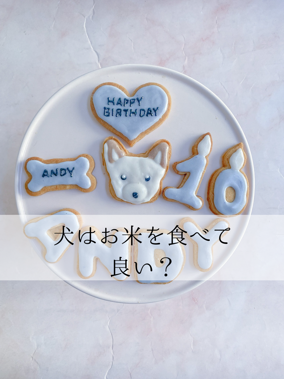 犬にお米あげても良い？