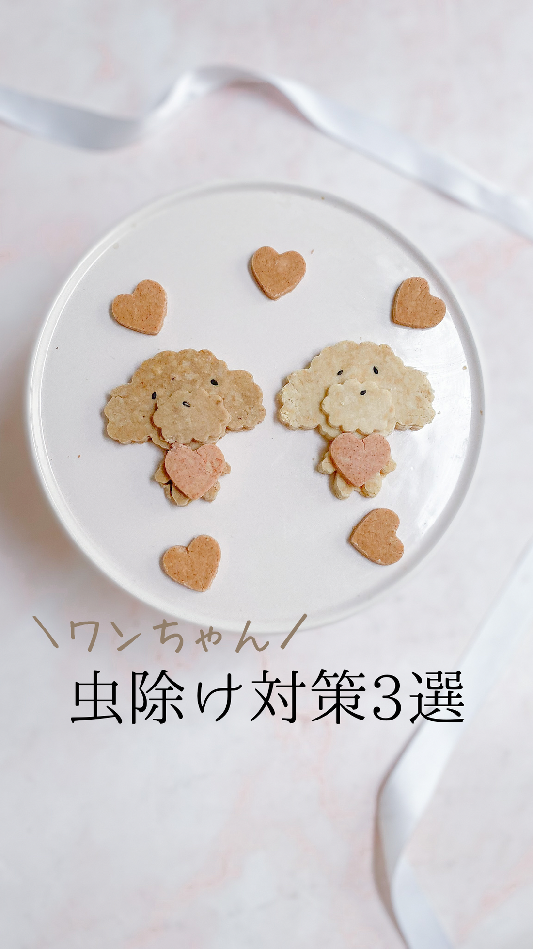 犬の虫除け3選