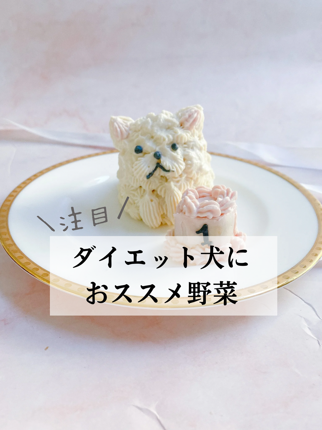 ダイエット犬におススメ野菜