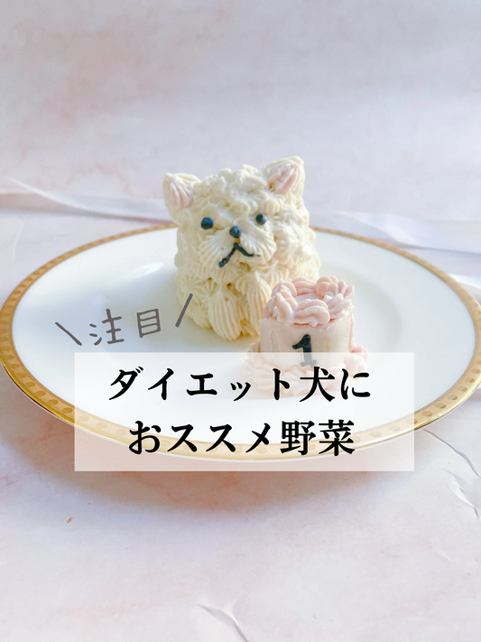 ダイエット犬におススメ野菜