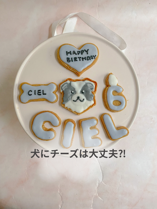 犬にチーズあげても大丈夫⁈