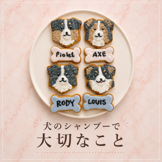 犬のシャンプー後の大切なこと