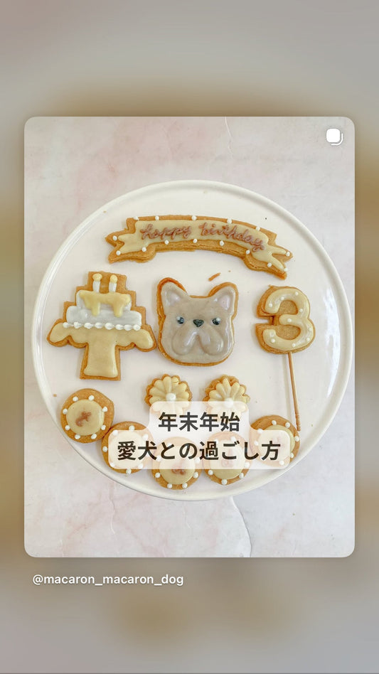 年末年始と愛犬の過ごし方