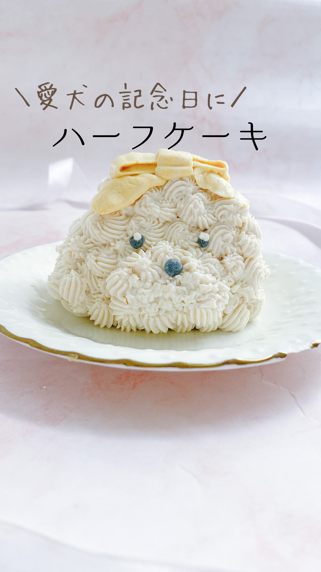 愛犬の記念日に「ハーフケーキ」