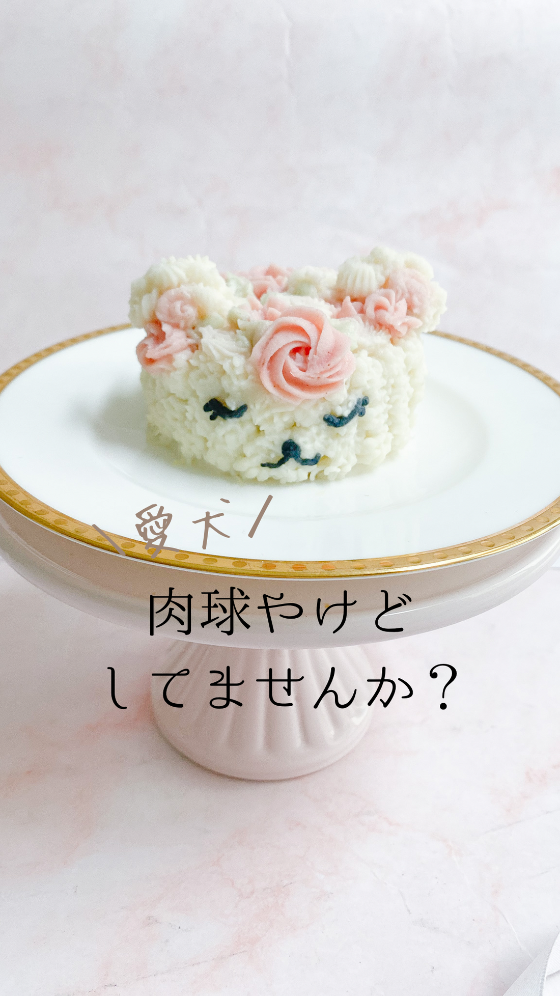 肉球やけどしてませんか？