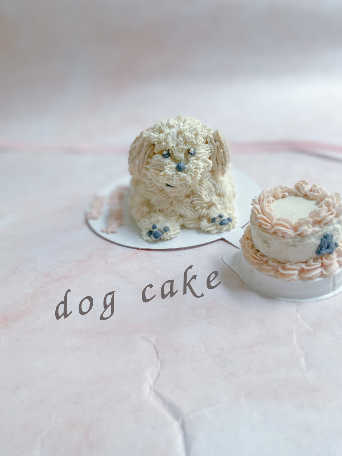 愛犬とのおやつ時間