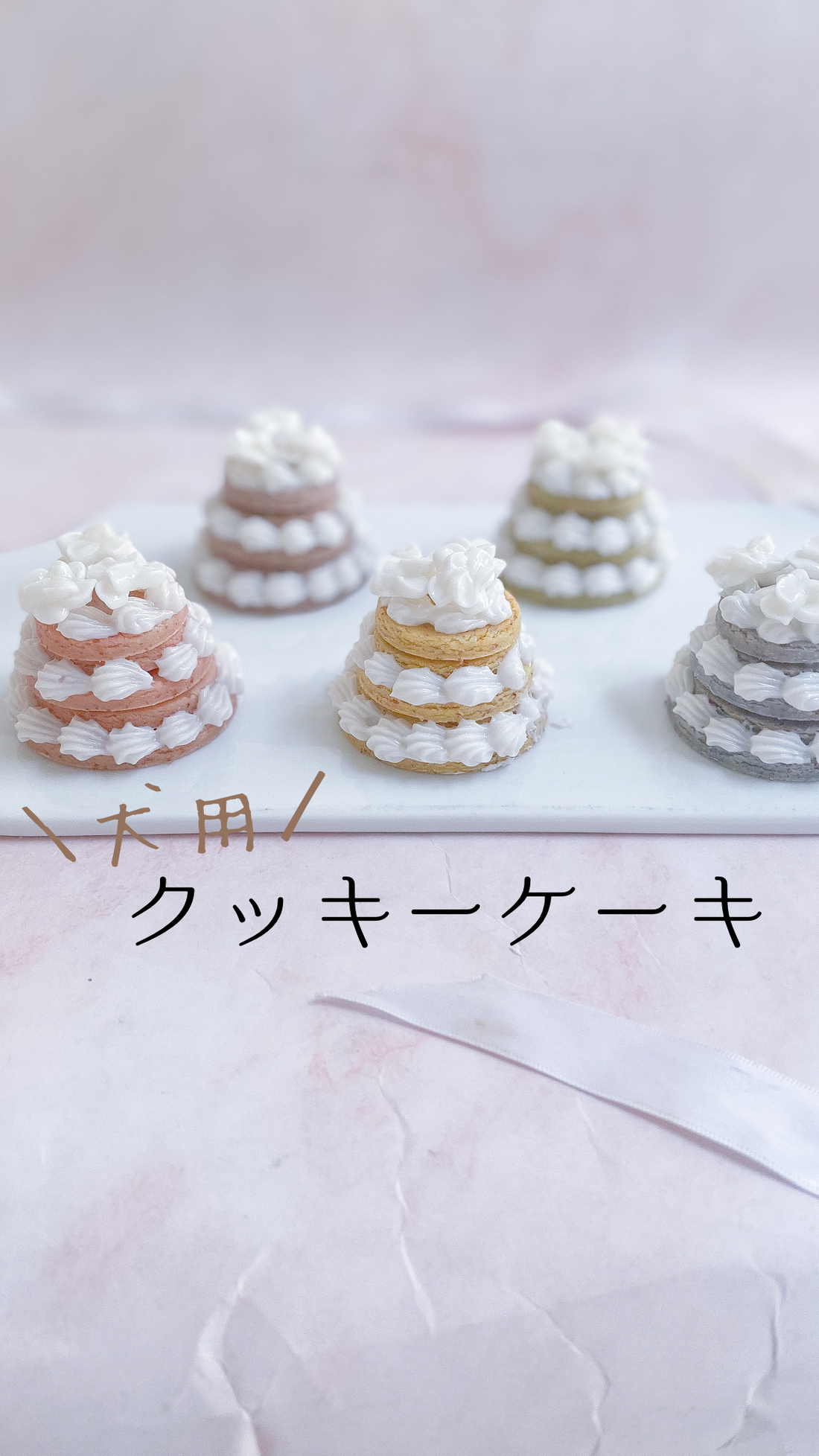 新商品　犬用クッキーケーキ
