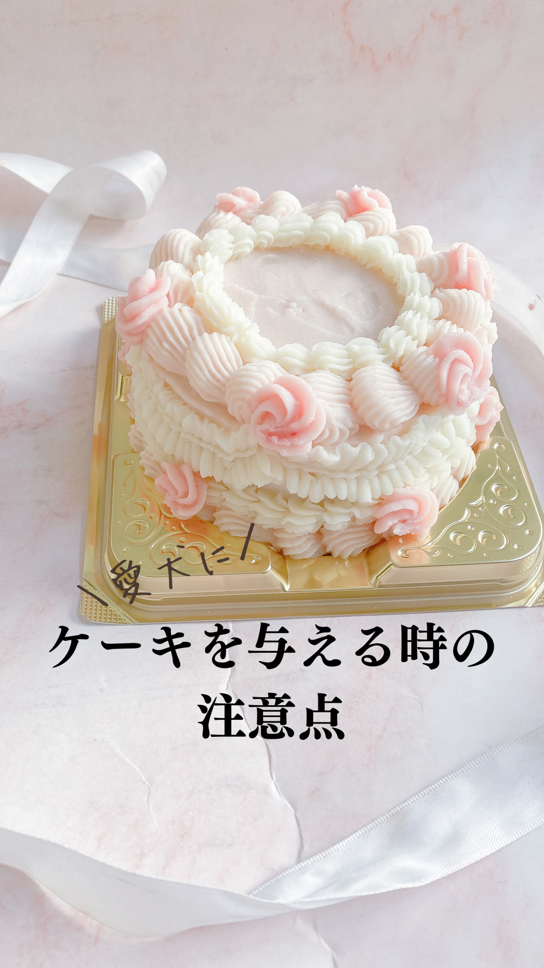 犬用ケーキを与える前に確認すること