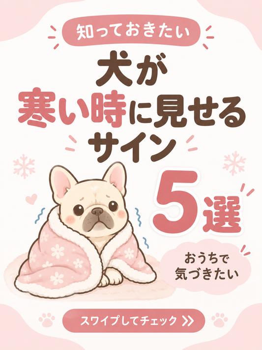 犬が寒い時に見せるサイン