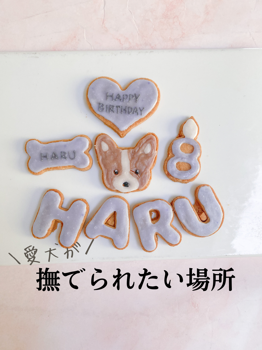 犬が撫でられたい場所