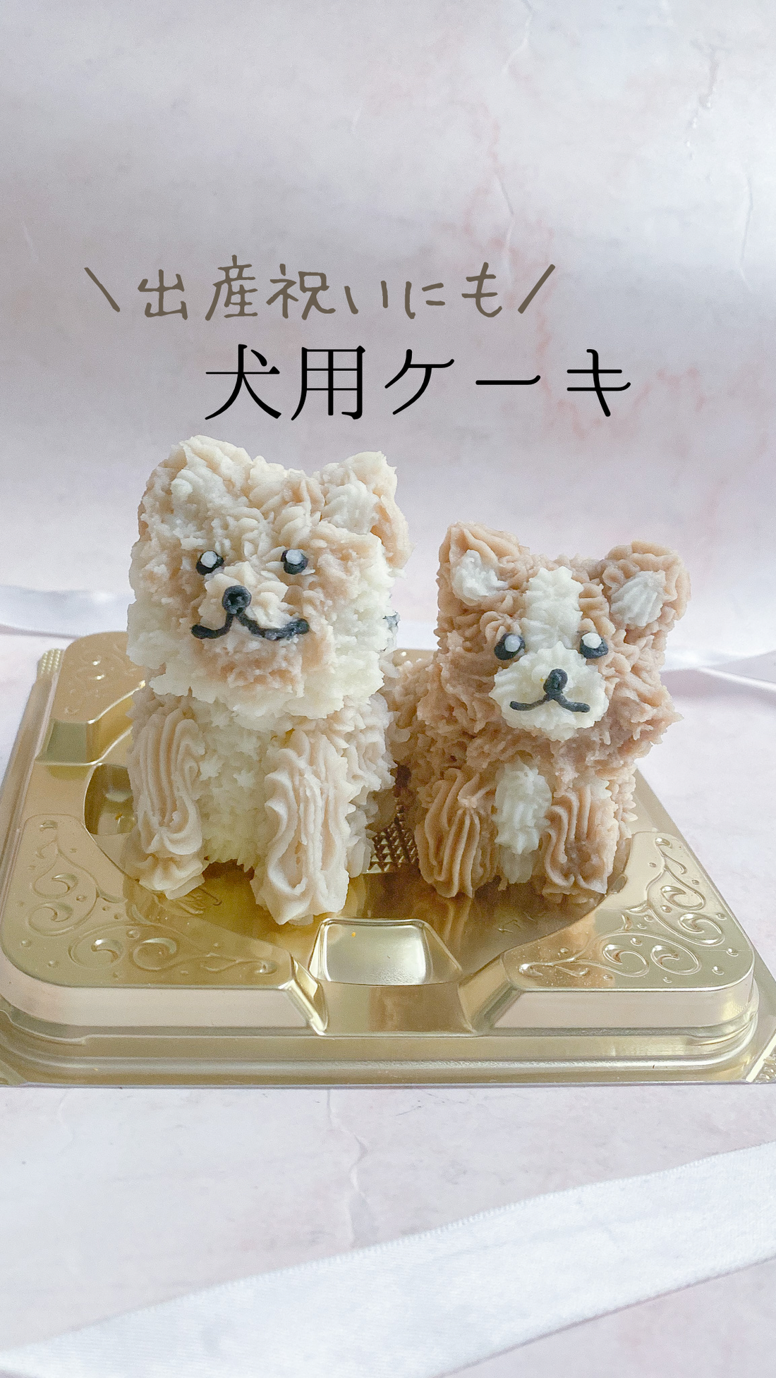 出産祝いにも犬用ケーキ