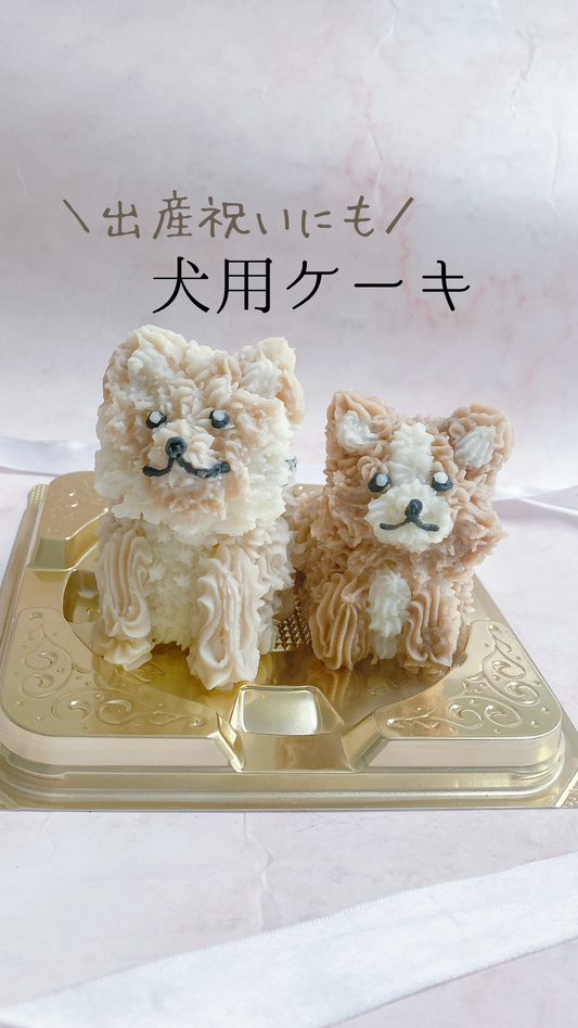 出産祝いにも犬用ケーキ