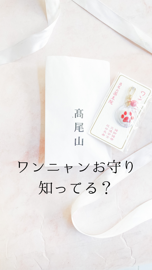 ワンニャンお守り知ってる？