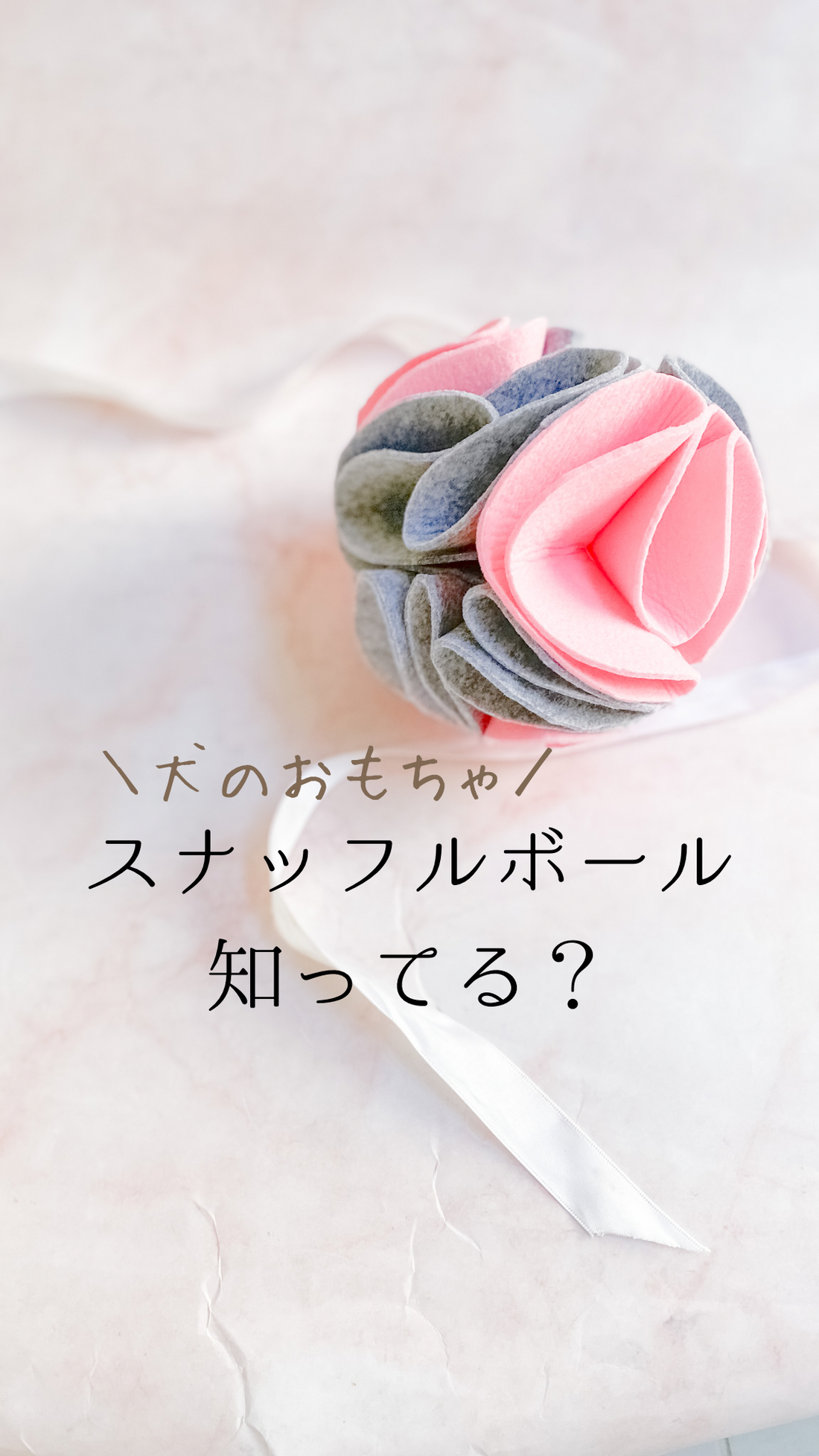 スナッフルボール知ってる？