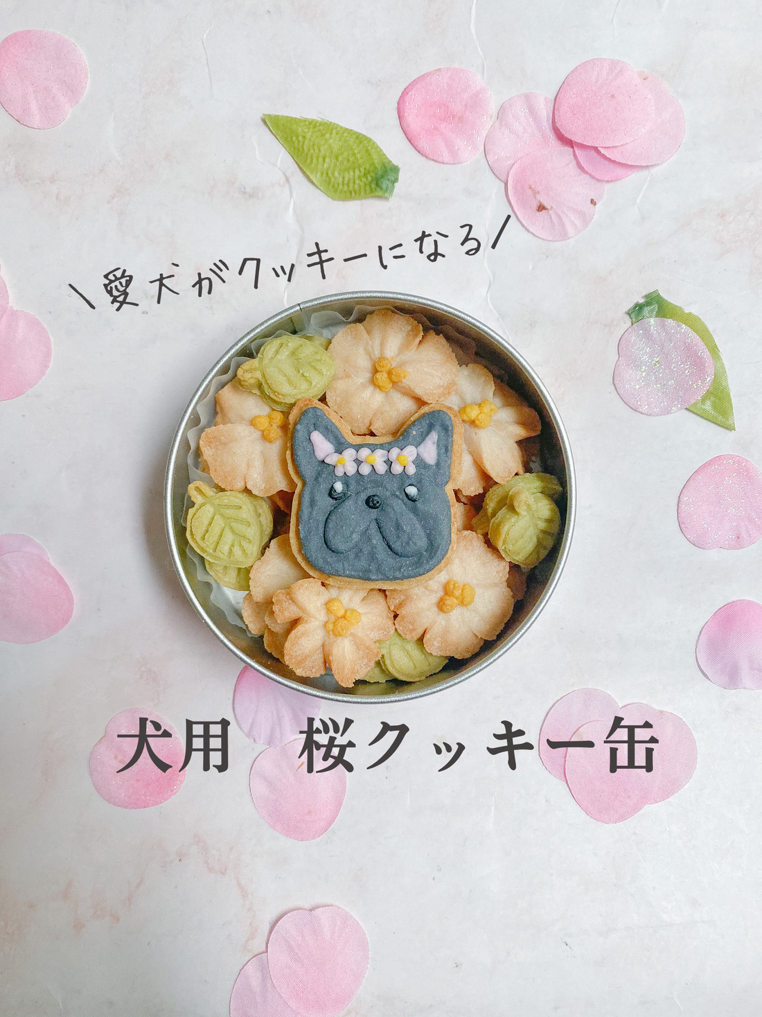 犬用桜クッキー缶