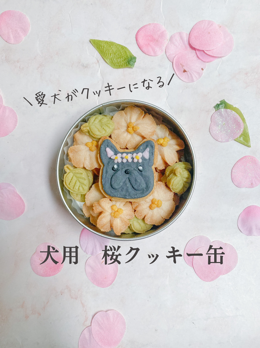 犬用桜クッキー缶