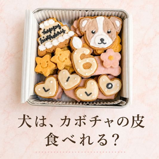 犬は、カボチャの皮も食べられる⁉︎