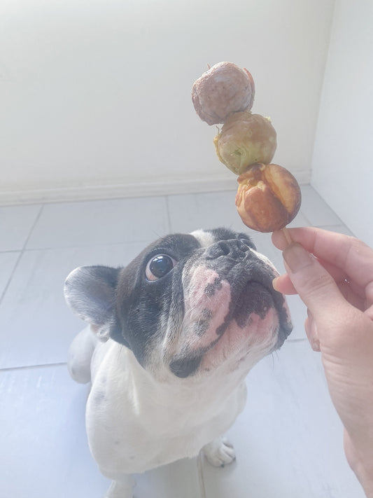 犬用ベビーカステラ