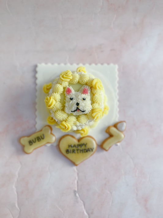 犬用ケーキ、黄色は何を使ってる？