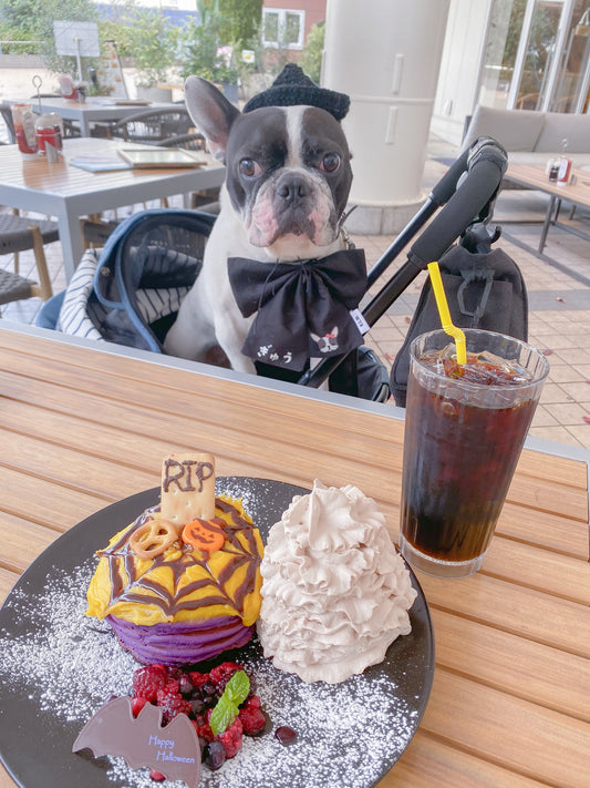 愛犬とハロウィン