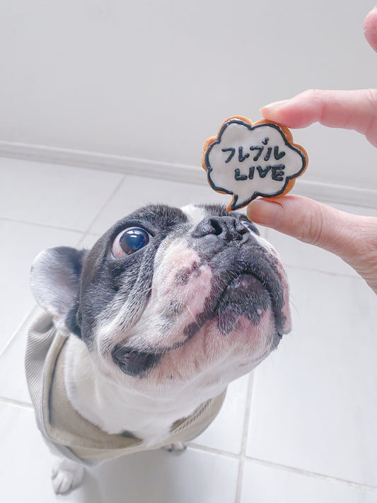 フレブルLIVEありがとうございました