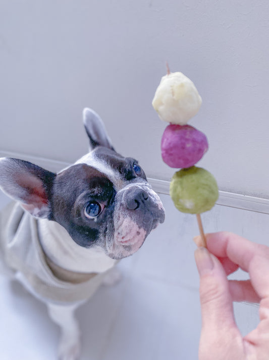 犬用3色団子レシピ