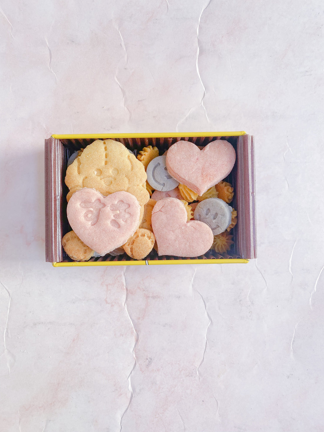 有明ワンダーランド、ありがとうございました