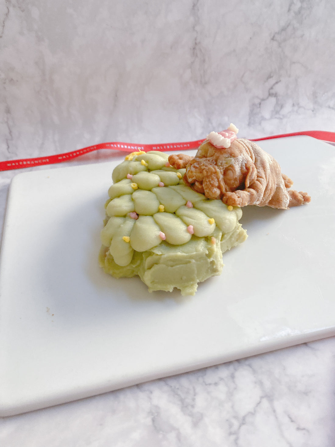 愛犬へのクリスマスケーキ