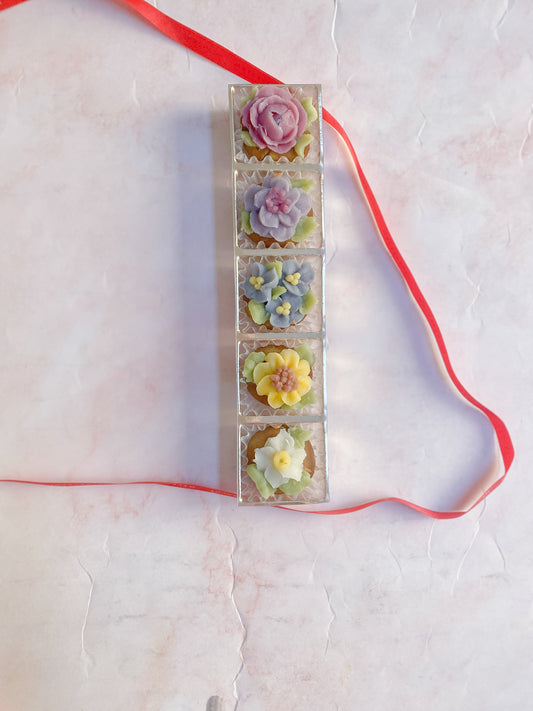 うちの子のお散歩