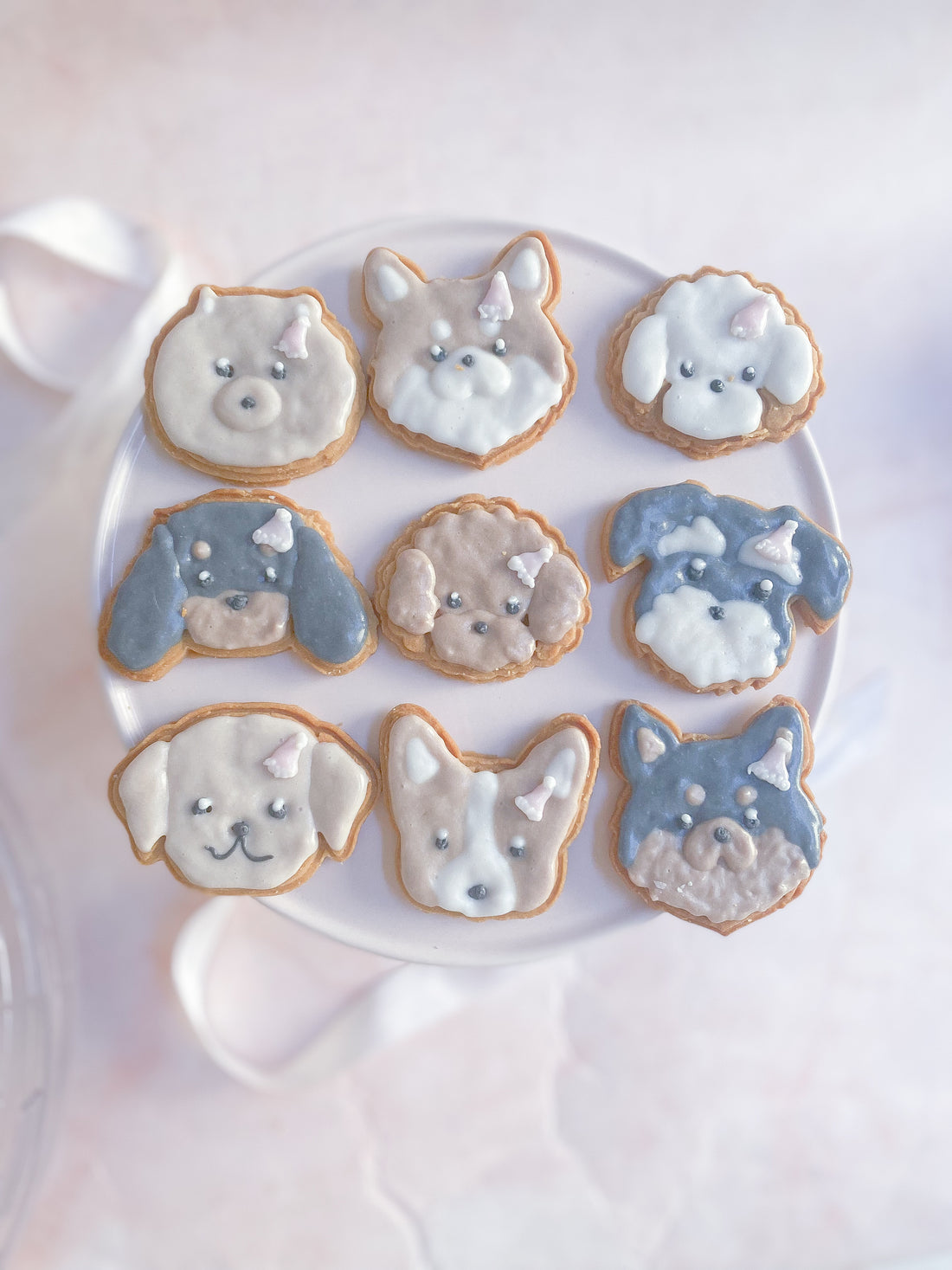 sippoフェスタ、ありがとうございました