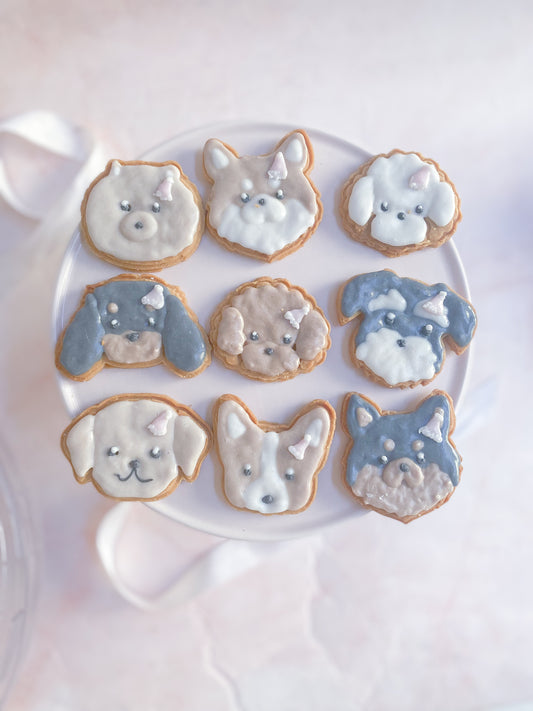 sippoフェスタ、ありがとうございました