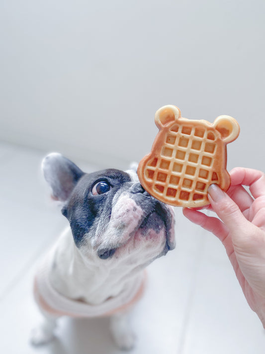 犬用ワッフル