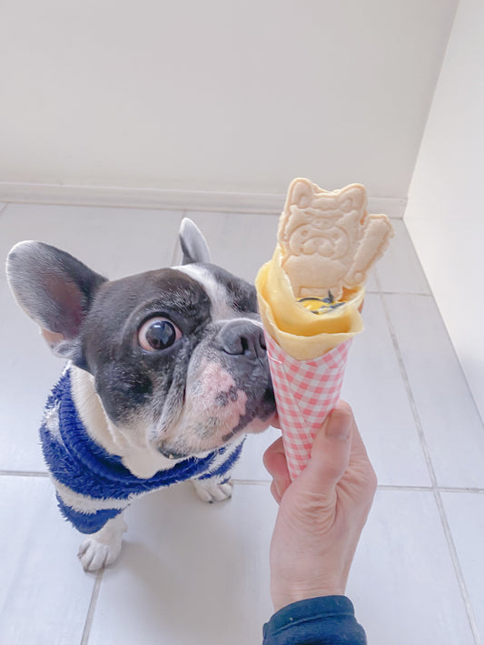 「鼻ぺちゃフレンズ」ありがとうございました♡