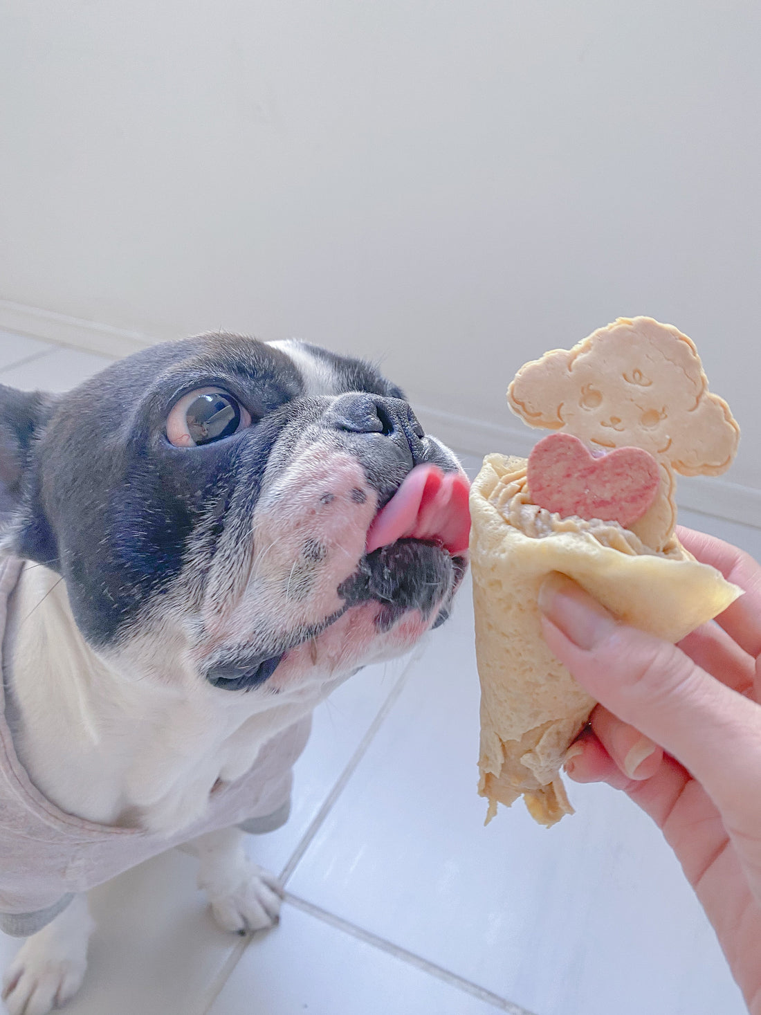 犬用クレープ　バレンタイン