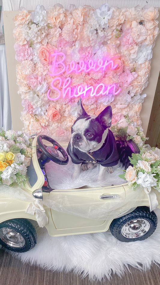 caliidogcafe1周年記念パーティー